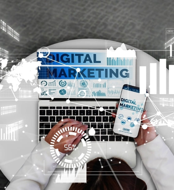 Director de marketing